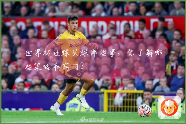 世界杯让球买球那些事，你了解哪些策略和窍门？