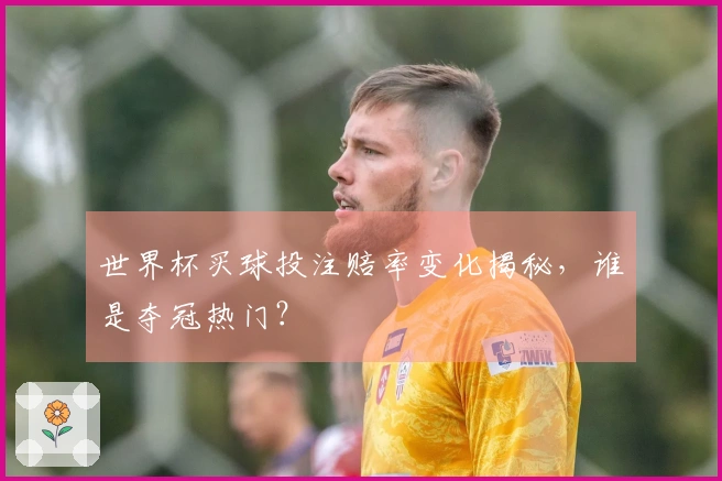 世界杯买球投注赔率变化揭秘，谁是夺冠热门？